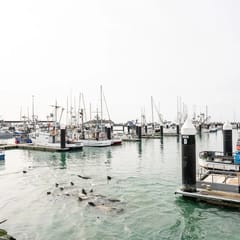 Harbor View Bliss (Apt 2)