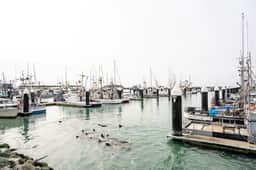 Harbor View Breeze (Apt 1) - Image 2