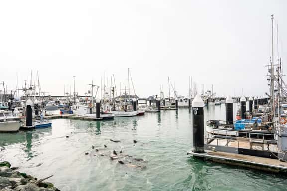 Harbor View Bliss (Apt 2) - Image 1