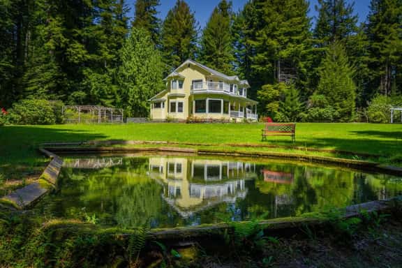 Gather in the Redwoods - Image 1