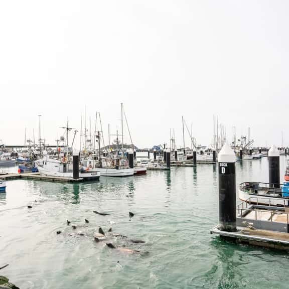 Harbor View Bliss (Apt 2) - Image 1