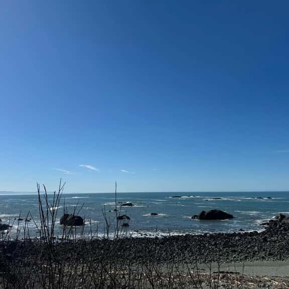 Beachs' 1177 - Image 1