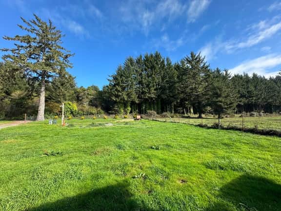 Cozy Cottage - Image 5